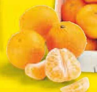 Netto Marken-Discount Xxl clementinen Angebot