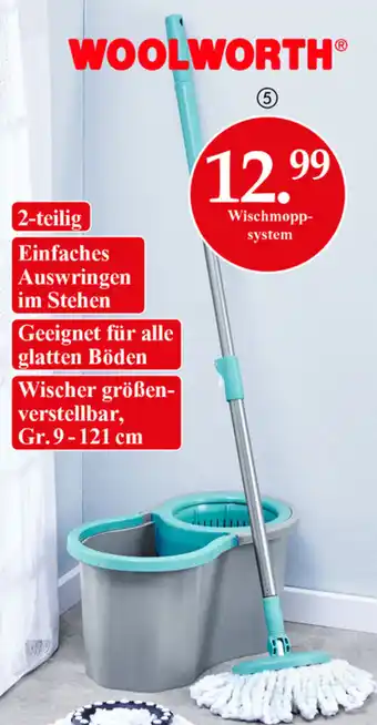 Woolworth Woolworth Wischmoppsystem Angebot