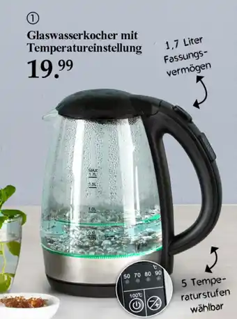 Woolworth Glaswasserkocher mit Temperatureinstellung Angebot