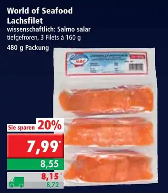 L. STROETMANN GROSSMARKT World of Seafood Lachsfilet 480g Angebot