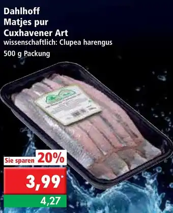 L. STROETMANN GROSSMARKT Dahlhoff Matjes pur Cuxhavener Art 500g Angebot