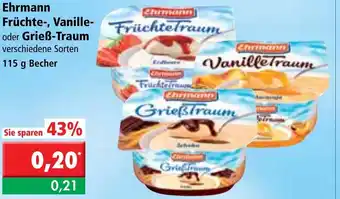 L. STROETMANN GROSSMARKT Ehrmann Früchte Vanille oder Grieß-Traum 115g Becher Angebot