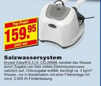 Lüchau Bauzentrum Salzwassersystem Angebot