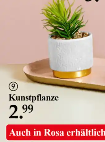 Woolworth Kunstpflanze Angebot