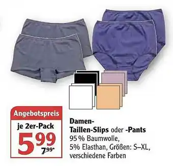 Globus Samen-taillen-slips Oder -pants Angebot