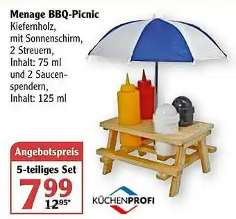 Globus Menage Bbq-picnic Angebot