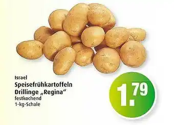 Markant Speiselfrühkartoffeln Drilling „regina” Angebot