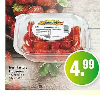 Markant Fresh Factory Erdbeeren Angebot