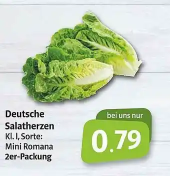 Markant Markt Deutsche Salatherzen Angebot