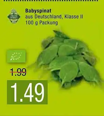 Marktkauf Babyspinat Angebot