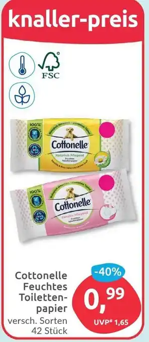 Budni Cottonelle Feuchtes Toilettenpapier 42 Stück Angebot