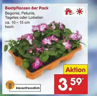 Netto Marken-Discount Beefpflanzen 6er Pack Angebot