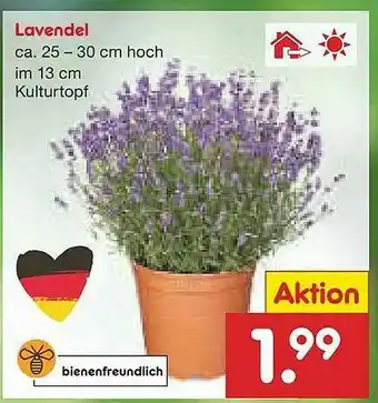 Netto Marken-Discount Lavendel Angebot