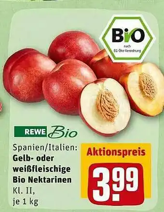 REWE Spanien Italien : Gelb- Oder Weißfleischige Bio Nektarinen Rewe Bio Angebot