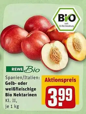 REWE Kaufpark Rewe Bio Spanien-italien Gelb Oder Weißfleischige Bio Nektarinen Angebot