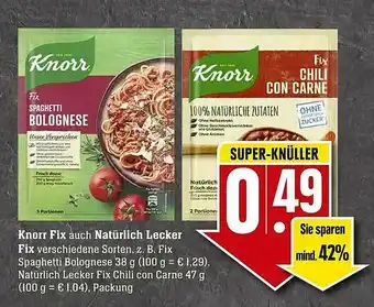 Scheck-in-Center Knorr Fix Auch Natürlich Lecker Fix Angebot