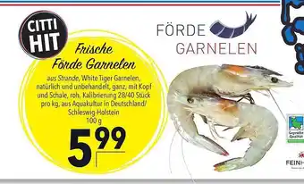 CITTI Markt Frische förde garnelen Angebot