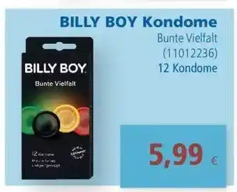 Apotal Billy boy kondome bunte vielfalt Angebot