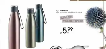 Zurbrüggen Trinkflasche Angebot