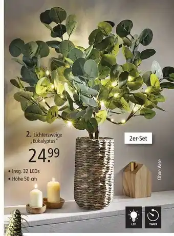 Weltbild Lichterzweige „eukalyptus“ Angebot