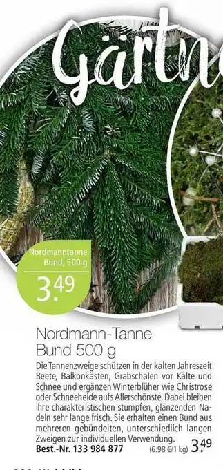 Weltbild Nordmann-tanne bund Angebot