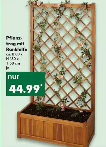 Kaufland Pflanztrog Mit Rankhilfe Angebot