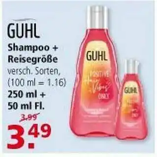 Multi Markt Guhl Shampoo + Reisegröße Angebot