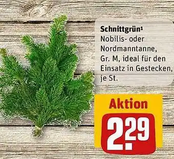 REWE Schnittgrün Angebot