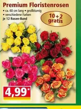 Norma Premium floristenrosen Angebot