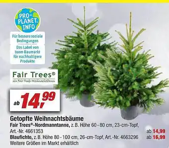 toom Baumarkt Fair trees getopfte weihnachtsbäume oder -nordmanntanne oder blaufichte Angebot