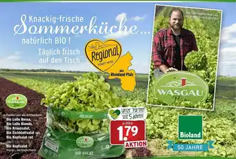 Wasgau Bio Lollo Rossa, Bio Lollo Bionda, Bio Kraussalat, Bio Eichblattsalat Rot, Bio Kopfsalat Rot Oder Bio Kopfsalat Angebot