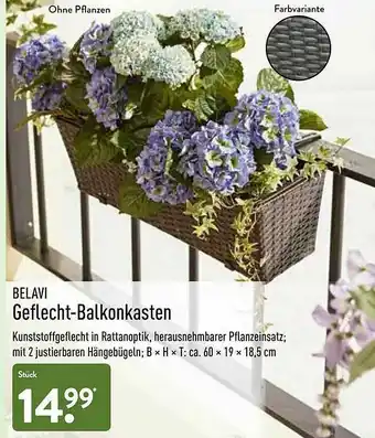 Aldi Nord Belavi Geflecht-balkonkasten Angebot