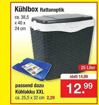 Zimmermann Kühlbox Rattanoptik Angebot