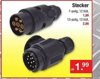 Zimmermann Stecker Angebot