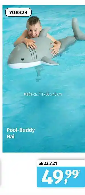 Aldi Süd Pool-buddy Hai Angebot