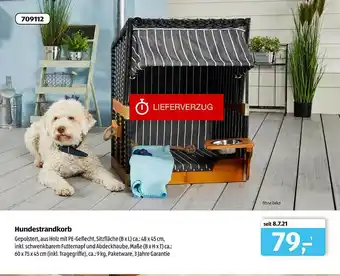 Aldi Süd Hundestrandkorb Angebot