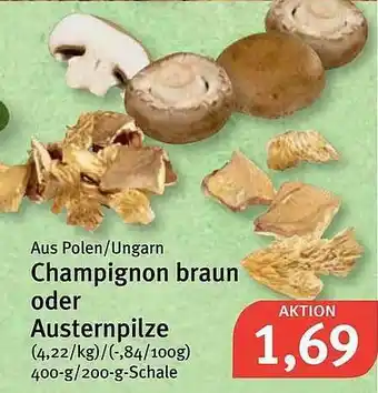 Feneberg Champignon Braun Oder Austernpilze Angebot