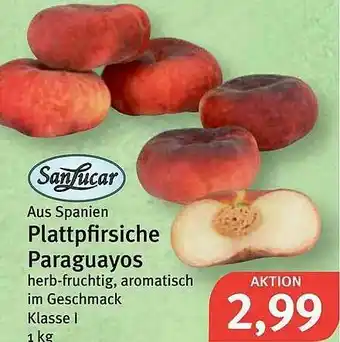 Feneberg Sanlucar Plattpfirsiche Paraguayos Angebot