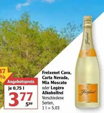 Globus Freixenet Cava, Carta Nevada, Mia Moscato Oder Legero Alkoholfrei Angebot