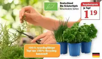 Globus Deutschland Bio Kräutertöpfe Angebot