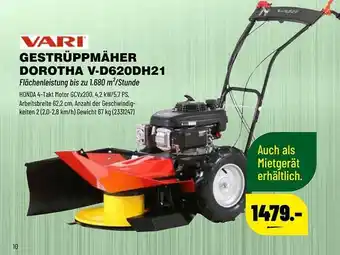 Leitermann Baumarkt Vari Gestrüppmäher Dorotha V-d620dh21 Angebot