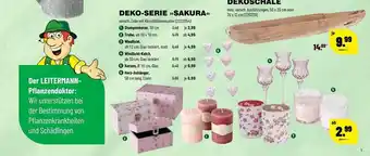 Leitermann Baumarkt Deko-serie »sakura« Dekoschale Angebot