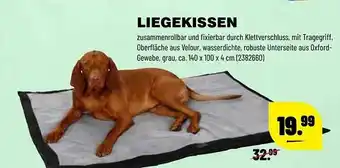 Leitermann Baumarkt Liegekissen Angebot