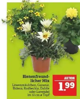 Marktkauf Bienenfreundlicher Mix Angebot