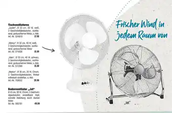 Hellweg Tischventilatoren Oder Bodenventilator „jet” Angebot