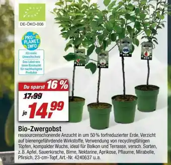 toom Baumarkt Bio-zwergobst Angebot