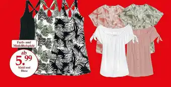 Woolworth Kleid Und Bluse Angebot