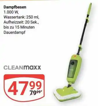 Globus Cleanmaxx dampfbesen Angebot