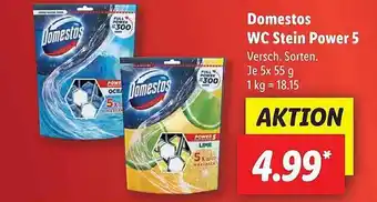 Lidl Domestos wc stein power 5 Angebot