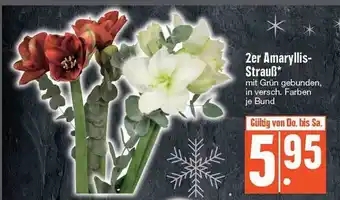 Edeka 2er amaryllis-strauß Angebot